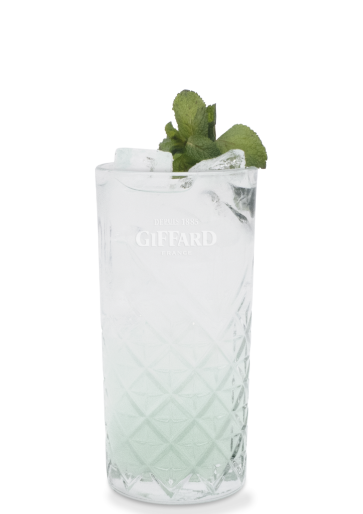 Fresh Mint